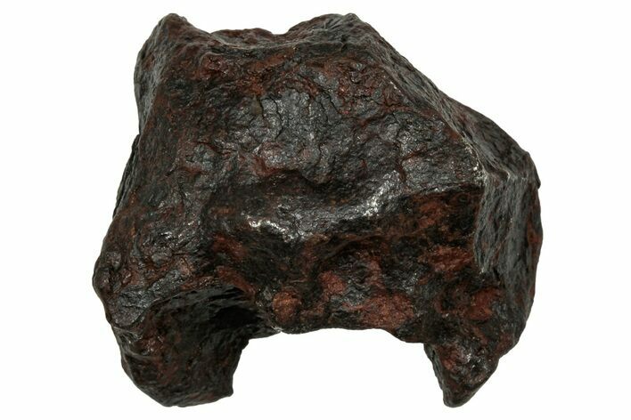 Canyon Diablo Iron Meteorite ( g) - Arizona #336030